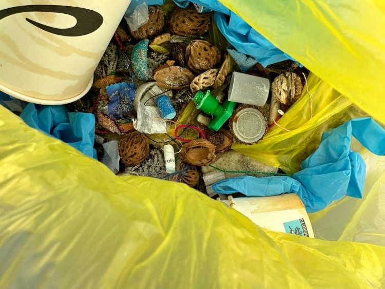 Lezione di ambiente e sostenibilità a San Teodoro