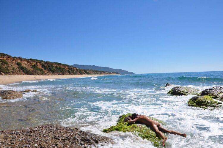 Minicrociera naturista all’isola dell’Asinara: un modo alternativo per vivere il mare