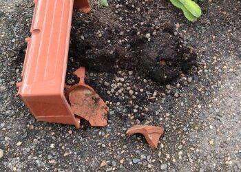 Quartu, denuncia del Comitato Margine Rosso: “Distrutte le fioriere e spazzatura buttata in strada”