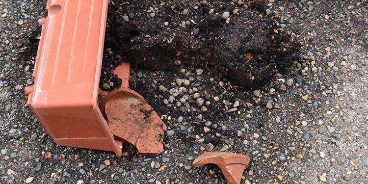 Quartu, denuncia del Comitato Margine Rosso: “Distrutte le fioriere e spazzatura buttata in strada”