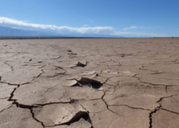Ultima Generazione, già dal nome non è un buon auspicio   di Lucia Manca