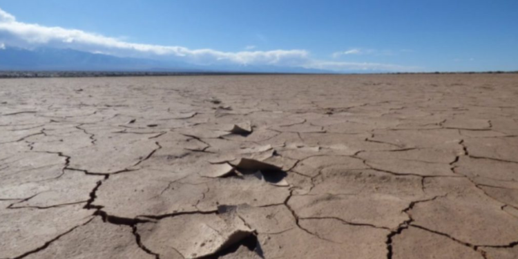 Ultima Generazione, già dal nome non è un buon auspicio   di Lucia Manca