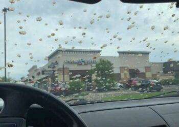 Presagio default? Negli Stati Uniti piove sterco