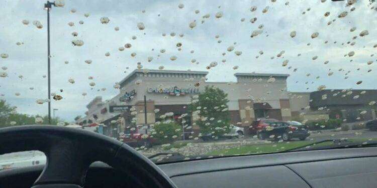 Presagio default? Negli Stati Uniti piove sterco