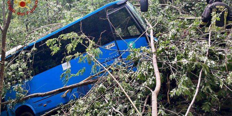 Bus esce di strada in Toscana, in salvo i passeggeri