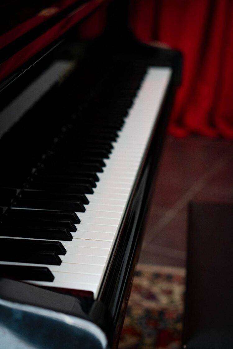 “Pennelli colori e frammenti di carta, naif e collage”, mostra delle artiste Sara Caselli e Cecilia Dallolio: aperta fino al 19 maggio