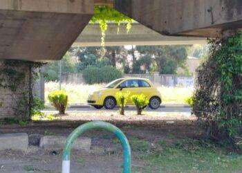 Macchinagialla, il gioco che impazza sui social