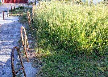 Quartu Sant’Elena, a Margine Rosso in attesa delle “Pulizie di Primavera”: sterpaglie e rifiuti invadono ingresso all’arenile