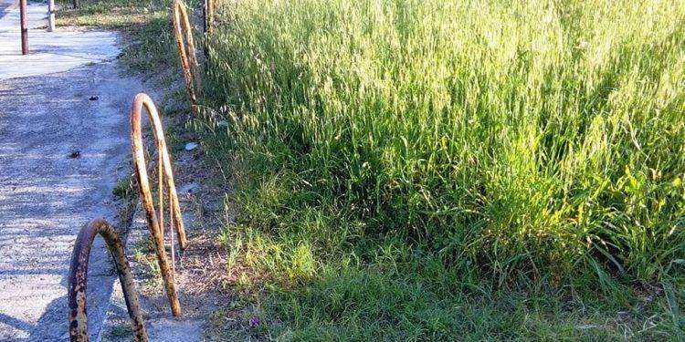 Quartu Sant’Elena, a Margine Rosso in attesa delle “Pulizie di Primavera”: sterpaglie e rifiuti invadono ingresso all’arenile