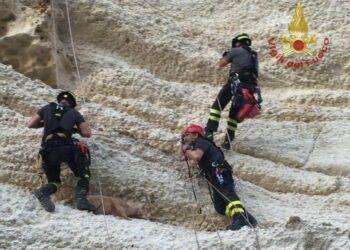 Laerru (SS), due capre cadono in un dirupo: salvate dai Vigili del Fuoco
