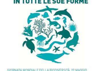 Il 22 maggio, Giornata mondiale della Biodiversità
