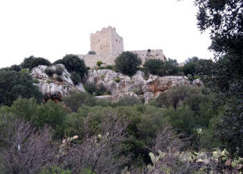 Piano del Parco di Tepilora, ultimi atti prima dell’approvazione definitiva dell’area protetta