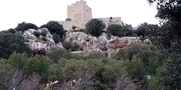 Piano del Parco di Tepilora, ultimi atti prima dell’approvazione definitiva dell’area protetta