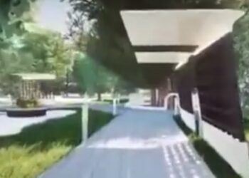 Foresta urbana in Viale Trieste: a che punto sono le trattative fra Comune e Regione?