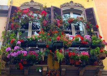Cagliari, “Balconi fioriti a Villanova”: domenica 14 maggio 2023 la nomina del vincitore