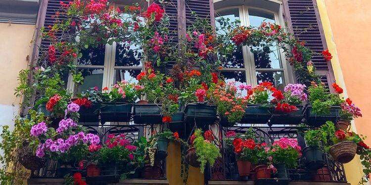 Cagliari, “Balconi fioriti a Villanova”: domenica 14 maggio 2023 la nomina del vincitore