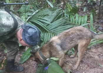 Colombia, aereo caduto: vivi 4 bambini