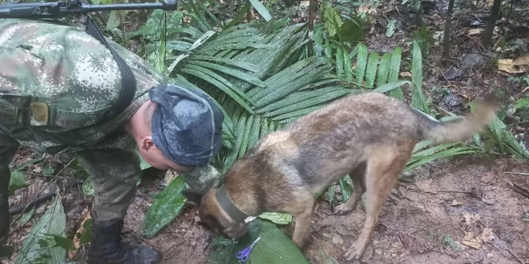 Colombia, aereo caduto: vivi 4 bambini