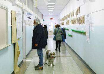 Elezioni comunali 2023, affluenza definitiva al 59,03%, in calo di 2 punti