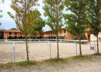 La Società Ippica di Cagliari cerca 4 Addetti al parcheggio