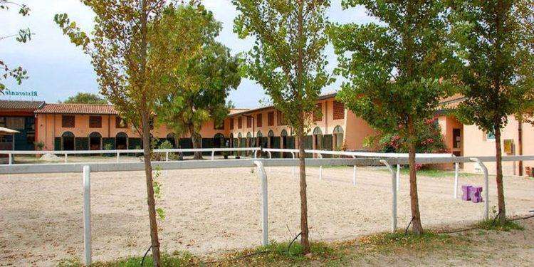 La Società Ippica di Cagliari cerca 4 Addetti al parcheggio