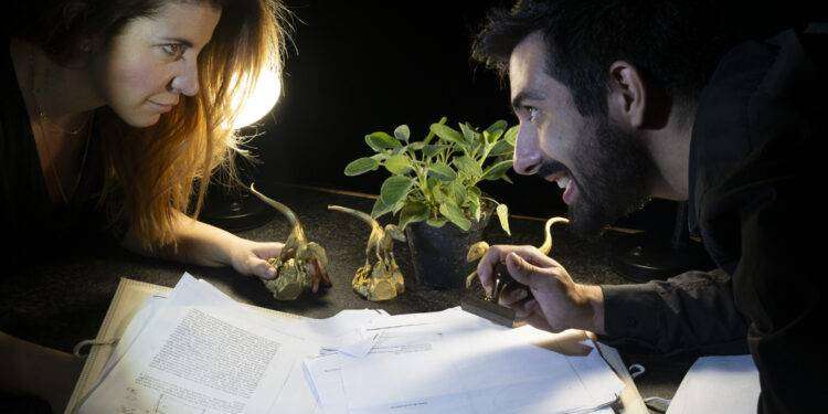 Prosegue a New York il tour della Compagnia Teatrale Batisfera