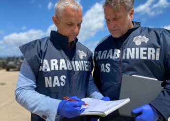 I Nas chiudono un impianto di torrefazione e un agriturismo