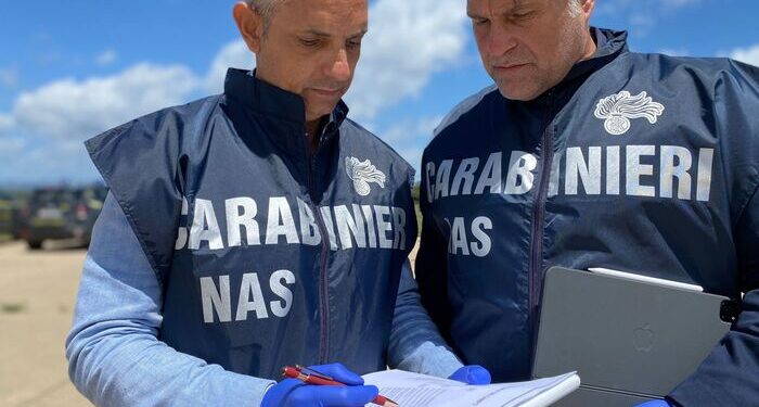 I Nas chiudono un impianto di torrefazione e un agriturismo