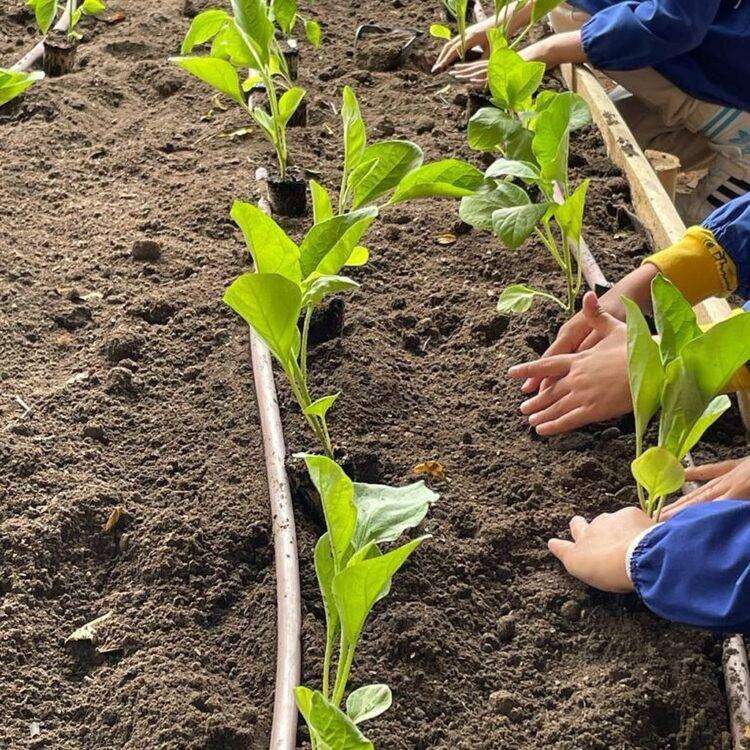 Cagliari, Truzzu: “Il giardino scolastico di via Santa Maria Chiara è quasi pronto”