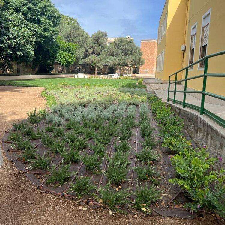 Cagliari, Truzzu: “Il giardino scolastico di via Santa Maria Chiara è quasi pronto”