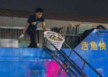 Peschereccio cinese affonda nell’oceano Indiano, 39 dispersi