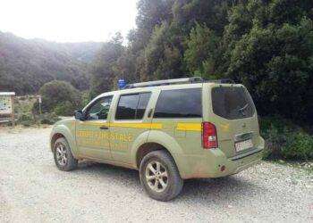 Via libera del Consiglio Ue a Di Maio inviato nel Golfo: l’Europa oggi conta poco immaginiamoci da domani