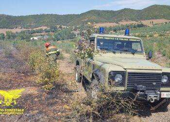 Via libera del Consiglio Ue a Di Maio inviato nel Golfo: l’Europa oggi conta poco immaginiamoci da domani