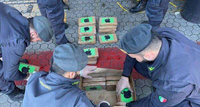 Sequestrate 3 tonnellate di cocaina nel porto di Gioia Tauro