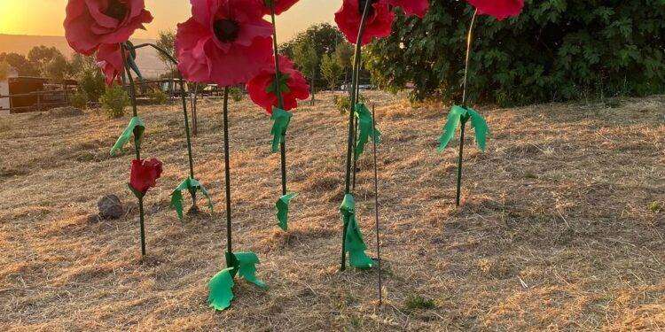 Biodiversità in Festa, fine settimana di eventi a Villanova Monteleone