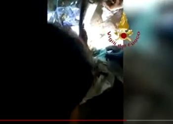 Roma, i Vigili del Fuoco salvano un gattino intrappolato in una tubazione: salvato dopo 9 ore