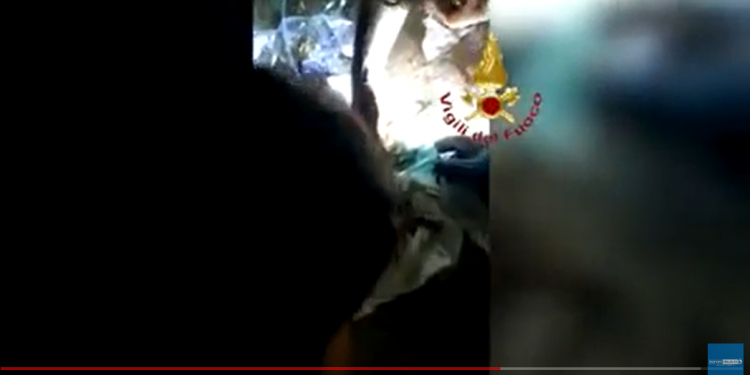 Roma, i Vigili del Fuoco salvano un gattino intrappolato in una tubazione: salvato dopo 9 ore