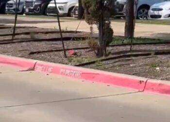 Sparatoria in un centro commerciale del Texas, quattro morti