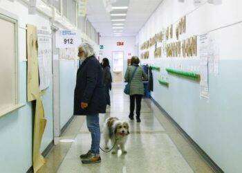 Comunali: crolla l’affluenza alle 23 al 46,39%, 13 punti in meno delle precendenti