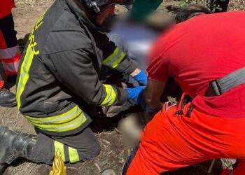 Golfo Aranci, travolto dalla motozappa: gravi lesioni agli arti