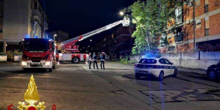 Sassari, albero pericolante: intervento dei Vigili del Fuoco