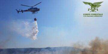 Vasto incendio a Siniscola, evacuata una scuola