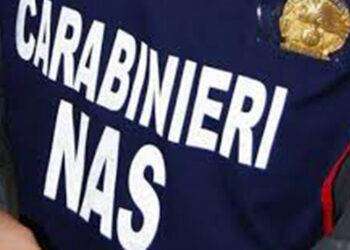 Via libera del Consiglio Ue a Di Maio inviato nel Golfo: l’Europa oggi conta poco immaginiamoci da domani