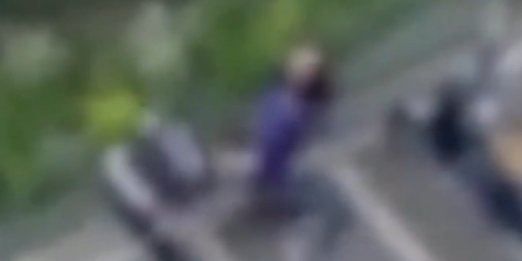 Presa a manganellate in testa e usato spray al peperoncino per bloccare una donna: immagini vergognose