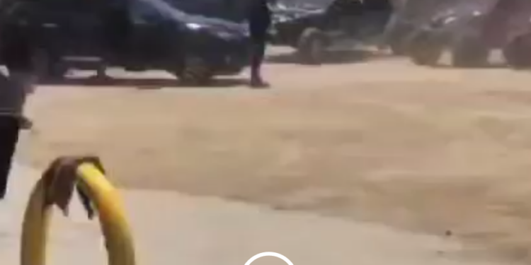 Strage al rally amatoriale, sparano ai piloti: sono 10 i morti