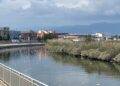 Cagliari, migliaia di pesci morti nel canale di  Terramaini