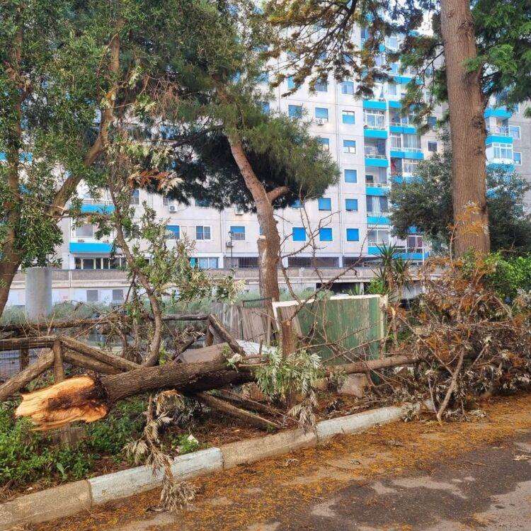 SGB denuncia la situazione igienico sanitaria pericolosa a Sant’Elia