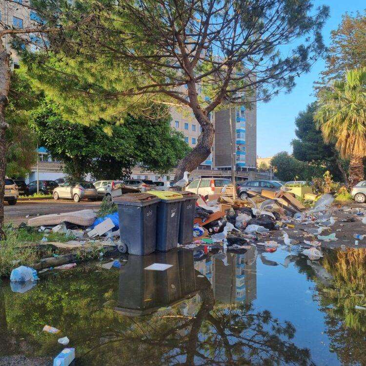 SGB denuncia la situazione igienico sanitaria pericolosa a Sant’Elia