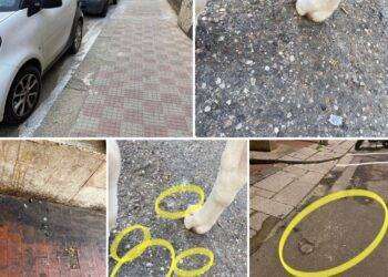 Weekend a Cagliari tra vetri rotti e sporcizia: interrogazione di Polastri