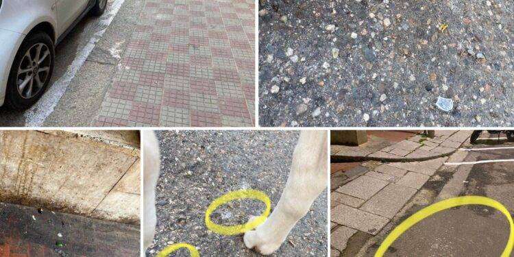 Weekend a Cagliari tra vetri rotti e sporcizia: interrogazione di Polastri